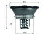 Mahle - Термостат MAHLE / KNECHT THD 3 76 (фото 1)