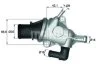 Термостат системи охолодження MAHLE / KNECHT TI 125 88 (фото 1)