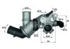 Термостат системи охолодження MAHLE / KNECHT TI 129 75 (фото 1)