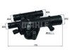 Термостат, охолоджувальна рідина MAHLE / KNECHT TI 243 89 (фото 1)