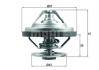 Термостат MAHLE / KNECHT TX 158 83 (фото 1)