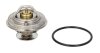 Термостат AUDI, FORD, PORSCHE, VW (Mahle) MAHLE / KNECHT TX 30 80D (фото 1)