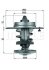 Термостат системи охолодження MAHLE / KNECHT TX 80 83 (фото 1)