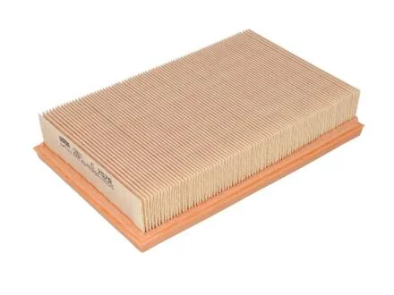 Фільтр повітряний OPEL Agila 1.0i12V Z10XEXEP MANN C 2579