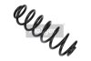 Пружина зад. VW Passat B6 1.4-1.8TSI/1.9-2.0TDI (05-10) MAXGEAR 60-0447 (фото 1)
