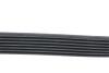 Ремінь генератора (поліклиновий) MERCEDES-BENZ 002993429664 (фото 3)