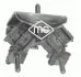 Опора двигуна Renault 19 I, Megane I, Megane Scenic 1.4-1.8 01.88-08.03 Metalcaucho 00705 (фото 1)