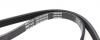 Поликлиновый ремень Honda:Civic/Hyundai:Accent,Getz/Nissan:Almera,Primera,Sunny MEYLE 050 004 0830 (фото 2)