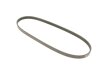Поликлиновый ремень Honda:Civic/Kia:Carnival,Picanto/Toyota:Carina MEYLE 050 004 0870 (фото 2)