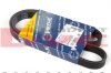 Ремень (руч.), Fiat Ducato, 1.9 D / TD, 1994 - 2002, (5 PK 925) MEYLE 050 005 0925 (фото 1)