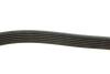 Ремень (pуч.), VW T-4, 2.5 TDI, (+AC)., (6 PK 2225) MEYLE 050 006 2225 (фото 2)