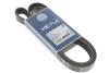 Ремень поликлиновой OPEL/RENAULT/NISSAN MASTER 2/LAGUNA 3/LAGUNA 2/MOVANO/PRIMERA P12 98-07 7PK1795 MEYLE 050 007 1795 (фото 4)