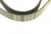 Ремінь генератора поліклиновий MEYLE 050 008 1226 (фото 3)