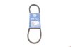 Ремень генератора MB/Nissan/Renault (13x850) MEYLE 052 013 0850 (фото 1)