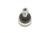 Несущий / направляющий шарнирL/P (dolny) (14,4mm) BMW 3 (E36), 3 (E46), Z3 (E36) MEYLE 316 010 0003/HD (фото 3)