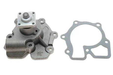 Насос охолоджувальної рідини, охолодження двигуна MEYLE 713 001 0002