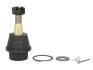 Кульова опора лів/прав (нижн передн) DODGE RAM 1500, RAM 2500 3.7/4.7/5.9D 06.01-12.09 MOOG AMGK7411 (фото 1)