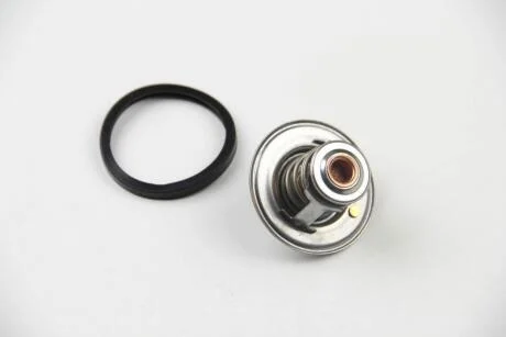 Термостат Renault Master II/Trafic/Iveco Daily 85- (79 C) MOTORAD 230-79J