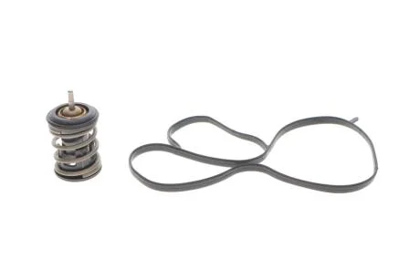 Термостат, охолоджувальна рідина MOTORAD 973-97K