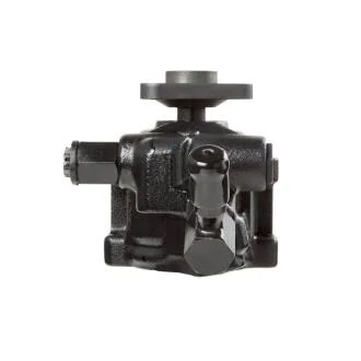 Насос ГУР новый FORD Fiesta 1995-2001,FORD KA 1996 MSG FO005