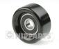 Ролик модуля натягувача паса NIPPARTS J1140342 (фото 1)