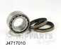 Підшипник кулько к-т+змаз d>30 NIPPARTS J4717010 (фото 1)