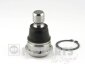 Шарова опора (Шарова опора Nissan Qashqai) NIPPARTS J4861039 (фото 1)