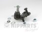 Шарова опора (Шаровая опора) NIPPARTS N4874016 (фото 1)