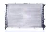 Радиатор, охлаждения дивгателя NISSENS 60041 (фото 2)