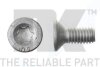 Болт (К-кт из 2шт.) крепления торм. диска CITROEN/FIAT/HONDA/PEUGEOT/SUZUKI М6х1 NK 89011671 (фото 1)