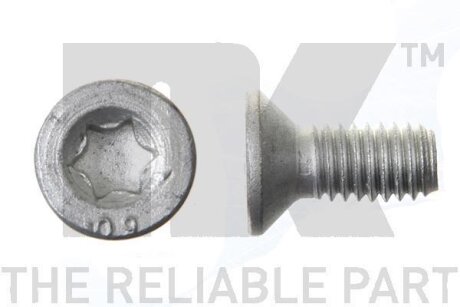 Болт (К-кт из 2шт.) крепления торм. диска CITROEN/FIAT/HONDA/PEUGEOT/SUZUKI М6х1 NK 89011671