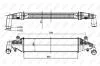 Інтеркулер NRF 30364 (фото 5)