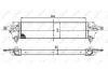 Радіатор інтеркулера NRF 30513 (фото 5)