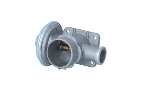 Клапан системи рециркуляції ВГ NRF 48623