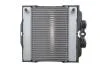 Радіатор, система охолодження двигуна NRF 550288 (фото 1)