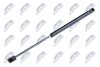 Амортизатор капота chevrolet captiva, opel antara, 96830124 NTY AEDW003 (фото 1)