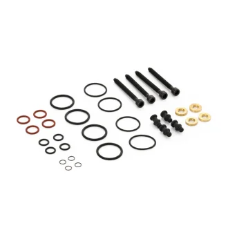 Рем/к-кт ТНВД (повни к-кт з гвинтами) VAG 1.9 TDI 2000- NTY BWP-VW-000