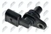 Датчик полож. розподільного валу Audi A2, VW Golf IV/V 1.4-1.6 (97-05) NTY ECP-AU-024 (фото 2)