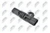 Датчик положення колінвала Ford Fiesta/Focus/Fusion 1.25-2.0i/1.4/1.6TDCi 99> NTY ECP-FR-010 (фото 1)