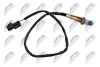 ДАТЧИКИ Кислородный датчик HYNDAI I30 1.4,1.6 2009-,IX20 1.4,1.6 2010-,KIA SOUL 1.6 2009- NTY ESLHY519 (фото 1)