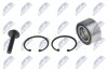 ZESTAW ЭO╜YSK KOЭA PRZрD L/P 75MM AUDI A4/AVANT 95.01-,AUDI A6 1.8 97-05, VW PASSAT 96-05 NTY KLP-AU-002 (фото 2)
