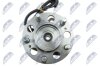 PIASTA KOЭA PRZрD SSANGYONG REXTON II 06-, ACTYON 01-09, KYRON 05-12 /ZAЭдCZAN NTY KLP-DW-088 (фото 4)