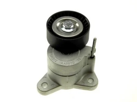 Dodge caliber натяжитель ремня ручейкового додж калибер NTY RNKCH007