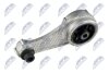 Подушка двигуна Renault Kangoo 98-> 1.4i/1.9D задня (кісточка) NTY ZPSRE085 (фото 2)