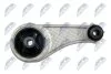 Подушка двигуна Renault Kangoo 98-> 1.4i/1.9D задня (кісточка) NTY ZPSRE085 (фото 3)