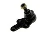 ШАРОВА ОПОРА ПІДВІСКИ | FORD FOCUS II 04-08, C-MAX 07-, VOLVO S40 II/V50 04-, C70 06-, C30 /ПЕРЕД НИЗ/ NTY ZSD-FR-002 (фото 1)