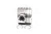 Поршень з кільцями PSA/FORD 75,60 1.6 TDCi 16V DV6UTED4/G8DA/HHDA Euro 4 NURAL 8742400800 (фото 1)