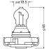 Автолампа (24W 12V PG20/7 FS1) OSRAM 2504 (фото 2)