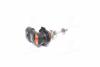 Лампочка допоміжна H10 (10 шт, 12 В, 42 Вт, тип гнізда: PY20D) OSRAM 9145 (фото 3)