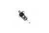 Лампа фарна H1 12V 55W P14,5s (Neolux) OSRAM N448 (фото 1)